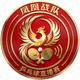 凤凰战队看乒乓球直播赛战队圆形标志